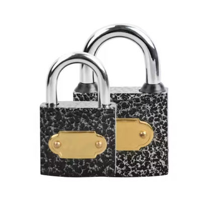모든 기상 Cast Iron Padlock 60mm 50mm 40mm 가정용 보안