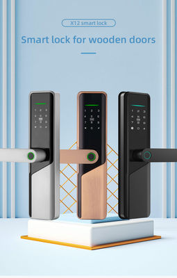 전기 디지털 스마트 볼리벨 알루미늄 합금 RFID 카드 암호 코드 문 잠금 손자문 없이 Tuya Ttlock 앱