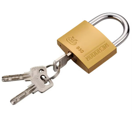ISO9001 실내용 40mm 청동 잠금 키와 같은 ODM