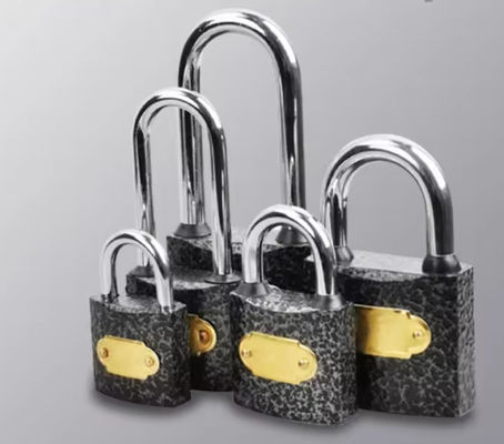 모든 기상 Cast Iron Padlock 60mm 50mm 40mm 가정용 보안