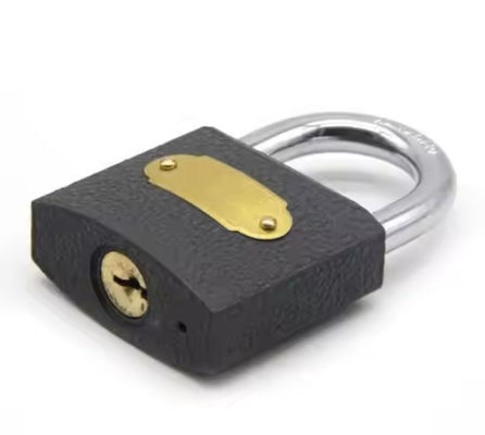 날씨에 저항하는 Cast Iron Pendlock Heavy Duty 사용자 정의