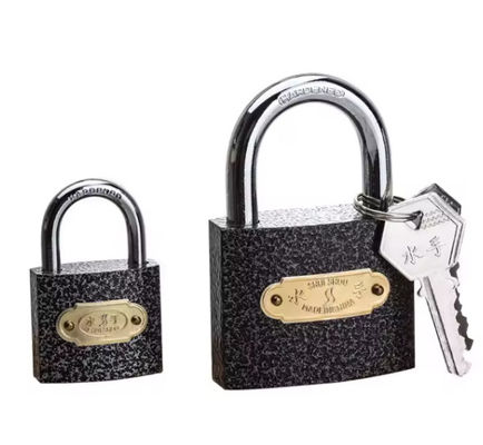 날씨에 저항하는 Cast Iron Pendlock Heavy Duty 사용자 정의