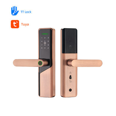 전기 디지털 스마트 볼리벨 알루미늄 합금 RFID 카드 암호 코드 문 잠금 손자문 없이 Tuya Ttlock 앱